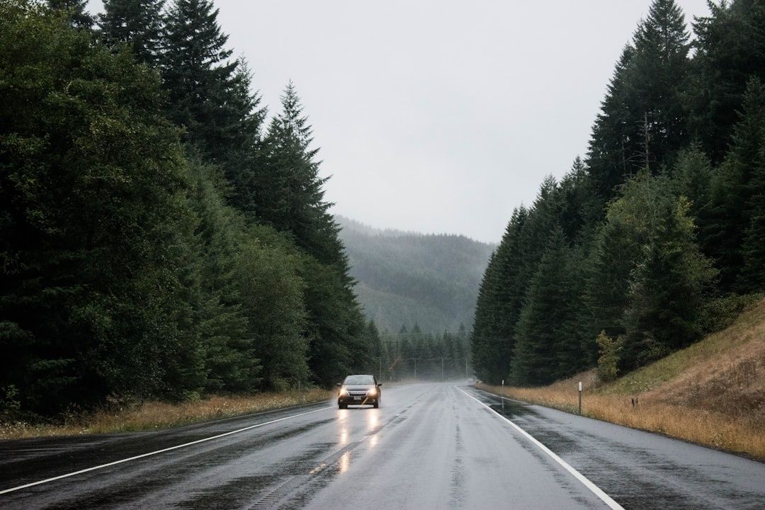 Car driving on a wet forest highway during rainy, misty weather